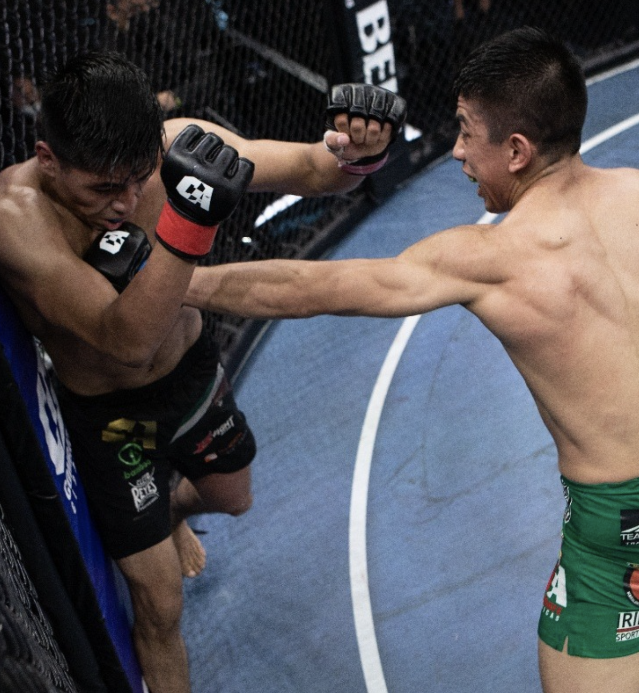 Screenshot 2026 04 07 at 1 46 10 pm